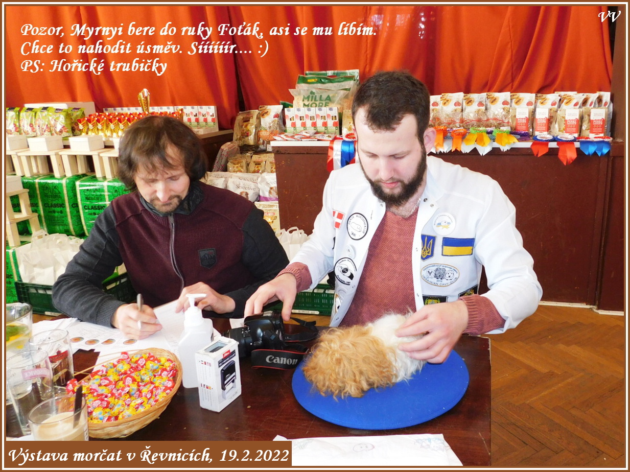 pro více fotek klikněte sem